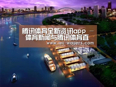案例展示八