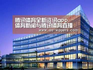 案例展示五