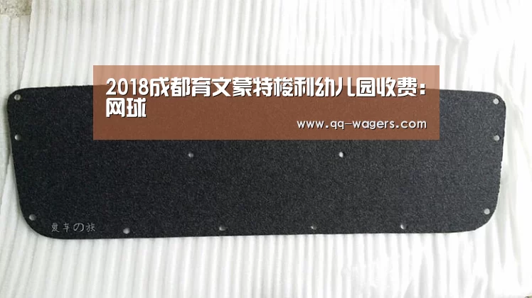 2018成都育文蒙特梭利幼儿园收费:网球(图4) 网球