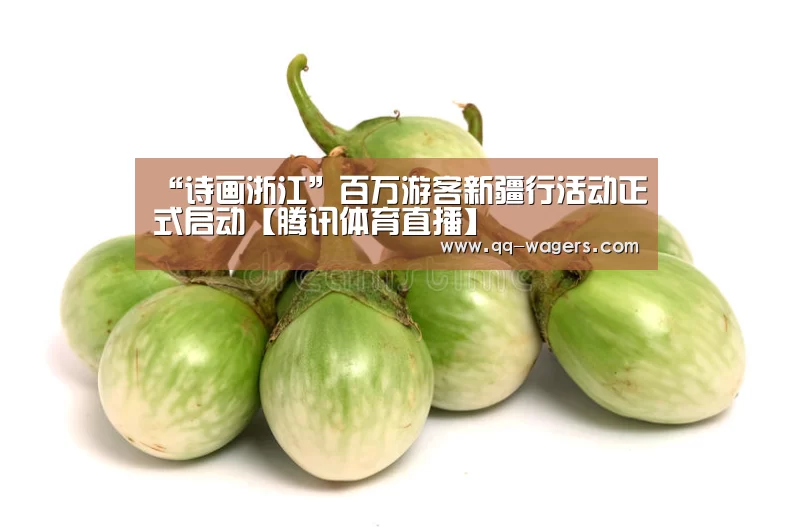 “诗画浙江”百万游客新疆行活动正式启动【腾讯体育直播】(图4) 聚合