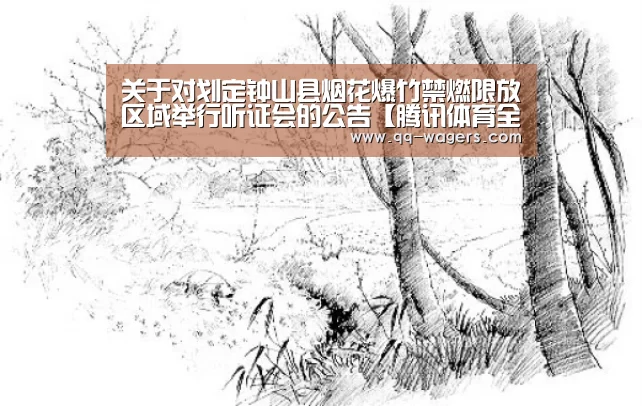 关于对划定钟山县烟花爆竹禁燃限放区域举行听证会的公告【腾讯体育全新频道】(图1) 篮球